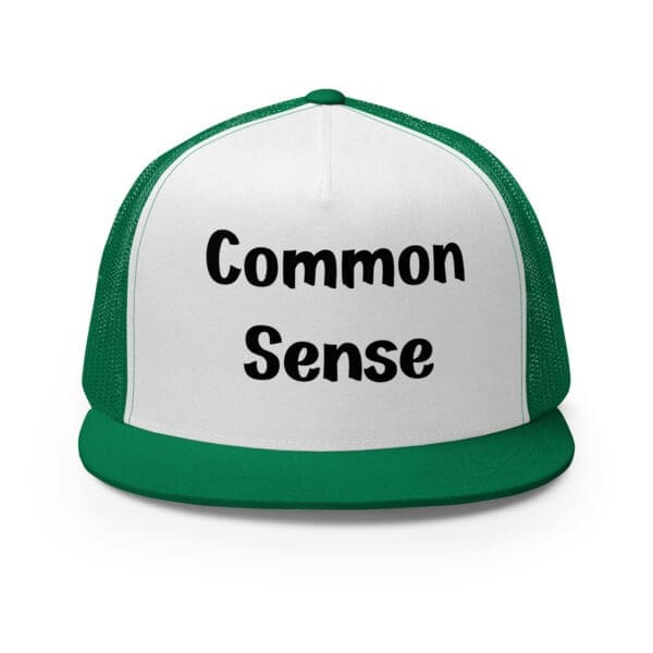 common sense trucker cap silver green and white