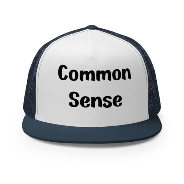 common sense trucker cap silver navy and white