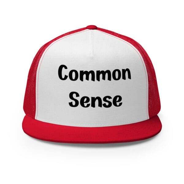 common sense trucker cap silver red and white