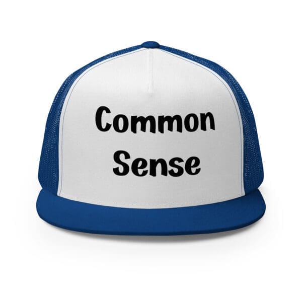 common sense trucker cap silver royal and white